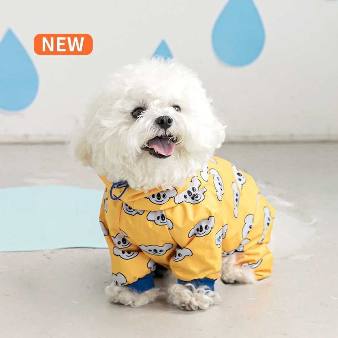 Waterproof Full Coverage Raincoat for Small Dogs