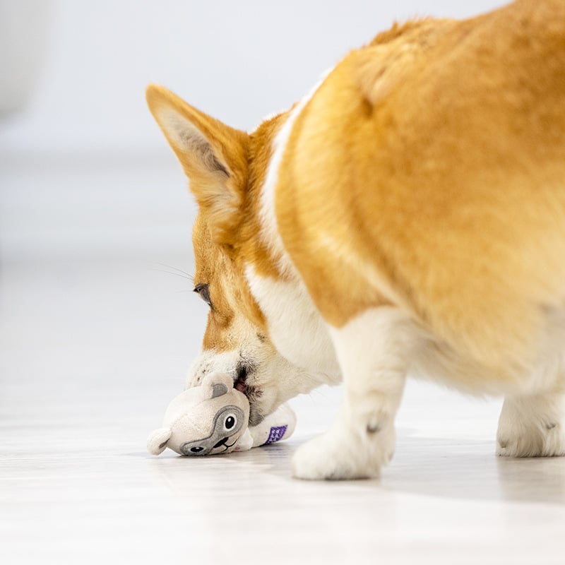 Milky Cute Barking Stick Sound Plush Dog Toy Series