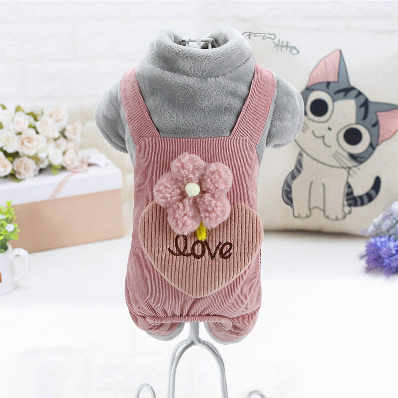 Teddy Bichon Pomeranian Chihuahua Plush Coat