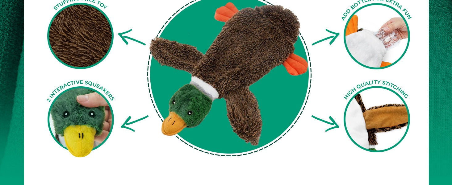 Stuffless Squeaky Dog Toy – Wild Duck