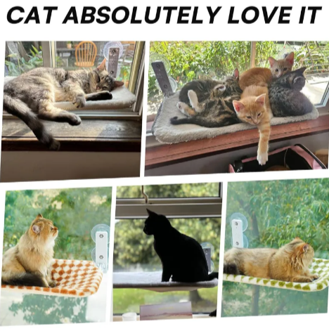 Cat Window Hammock – Steel Frame with Suction Cups