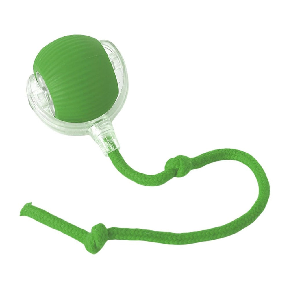 Interactive Rolling Cat Ball Toy