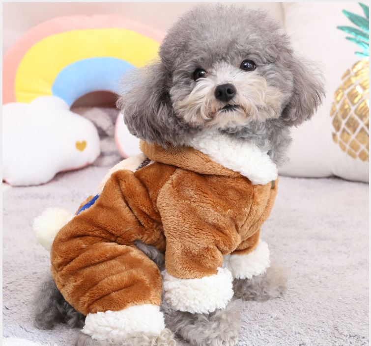 Warm Snowball Bear Clothing Transformation