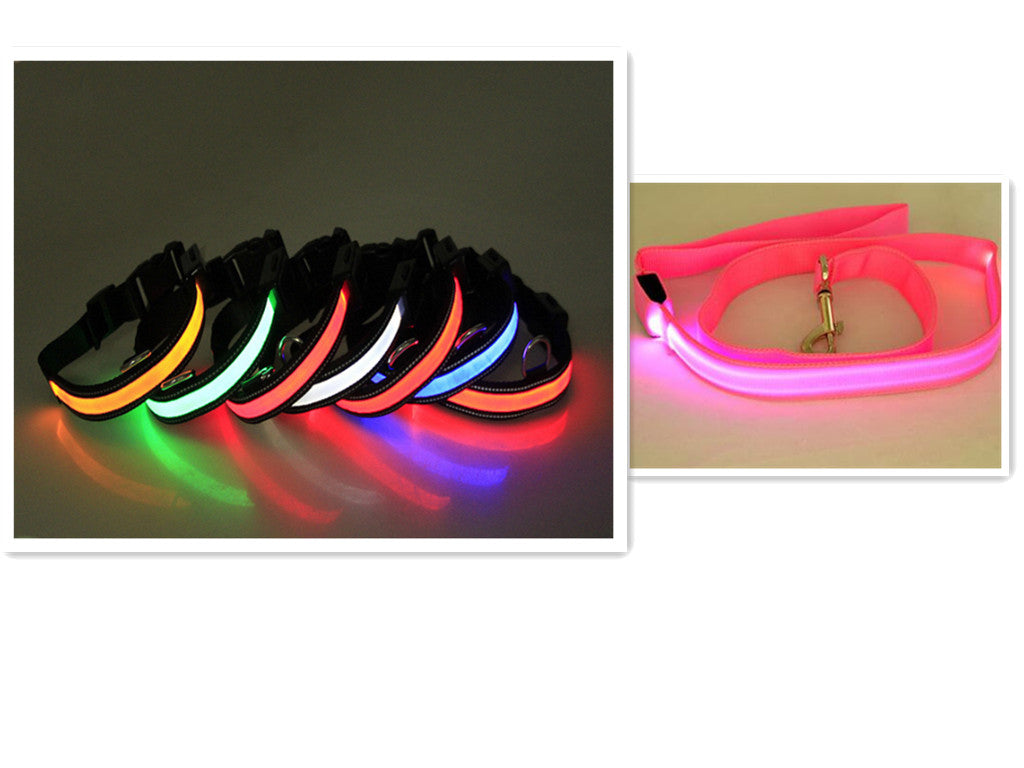 LED Dog Leash with Fluorescent Dog Collar
