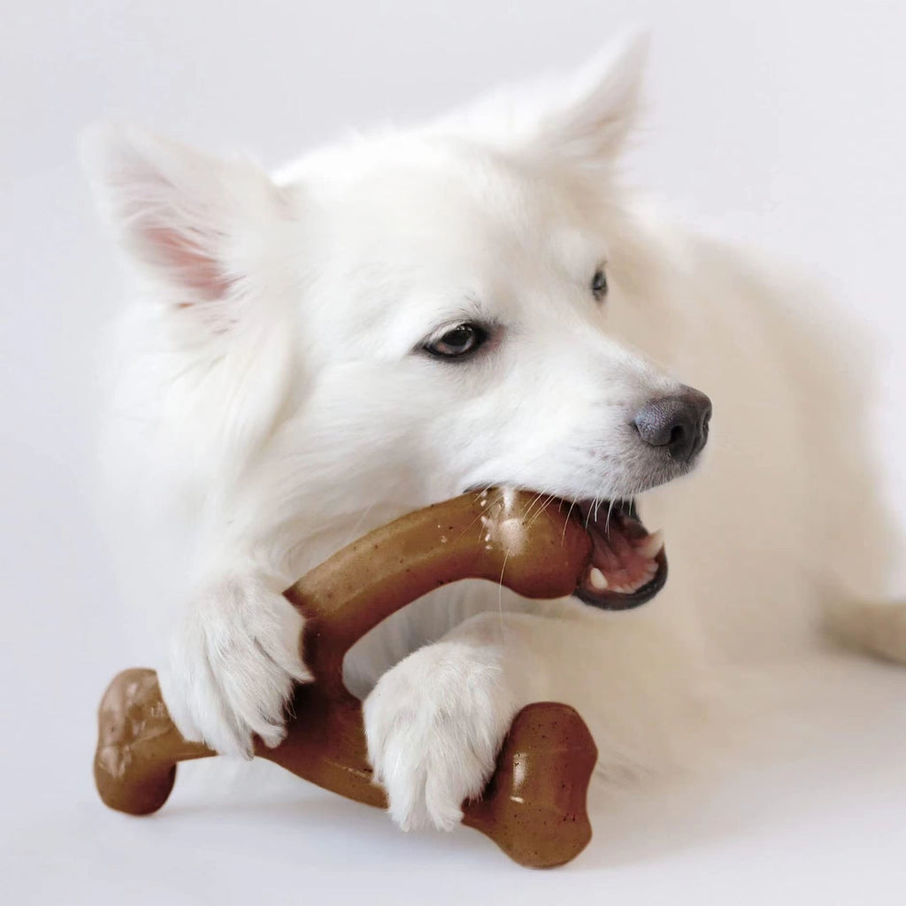 Durable Dog Chew Molar Rod Toy