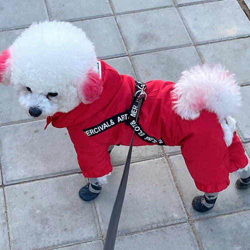 Bichon Winter Clothes for Small Dogs - Four-Legged Warmth