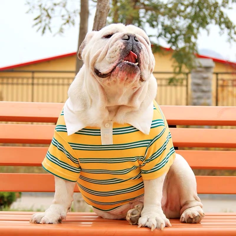 Summer Polo Pet Clothes for Big Dogs and Corgis