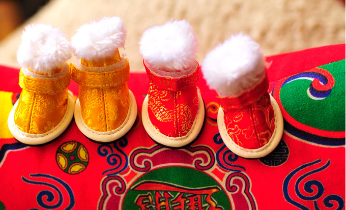 Winter Warm Pet Shoes for Dogs with Embroidery Design