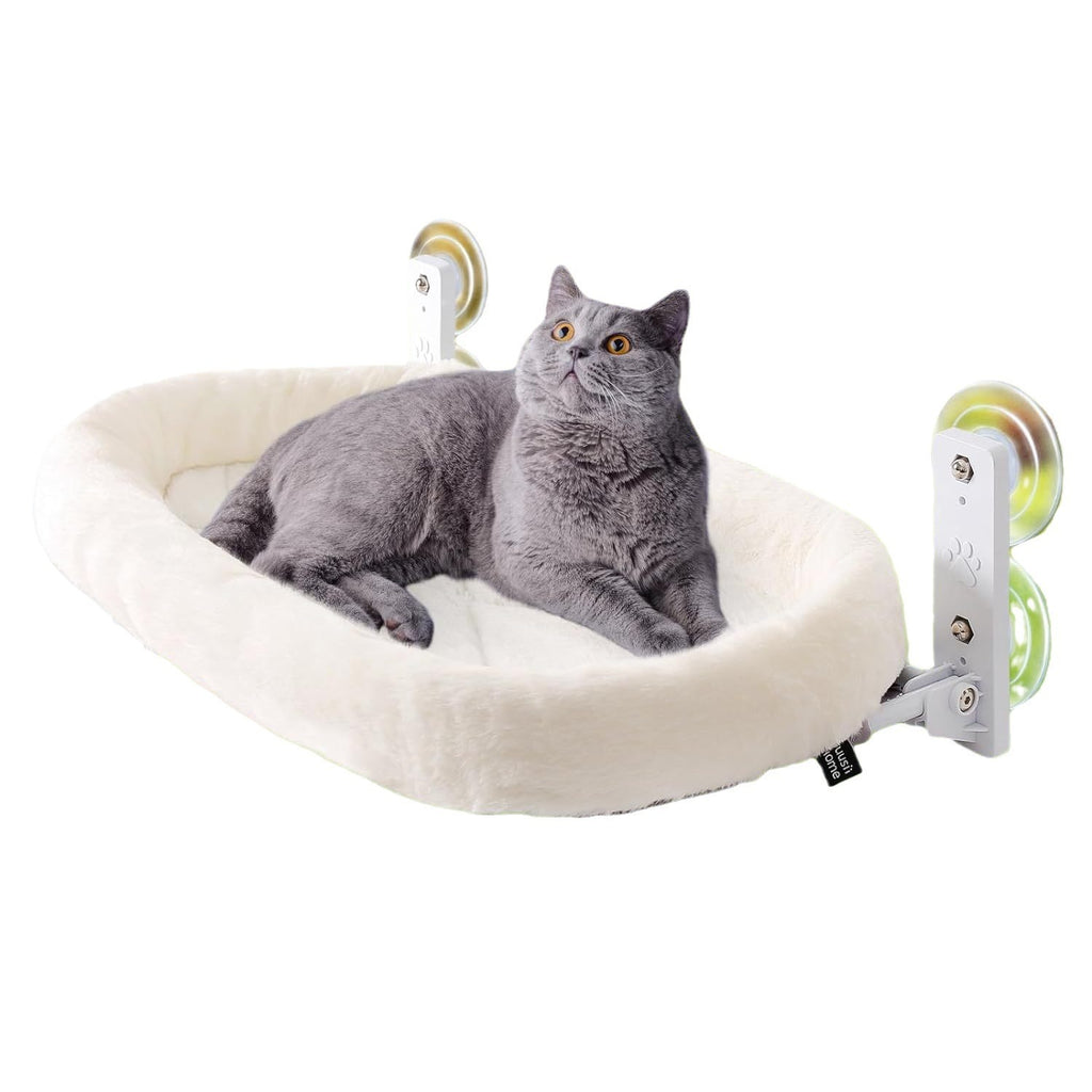 Sun Glass Hanging Sucker Cat Nest