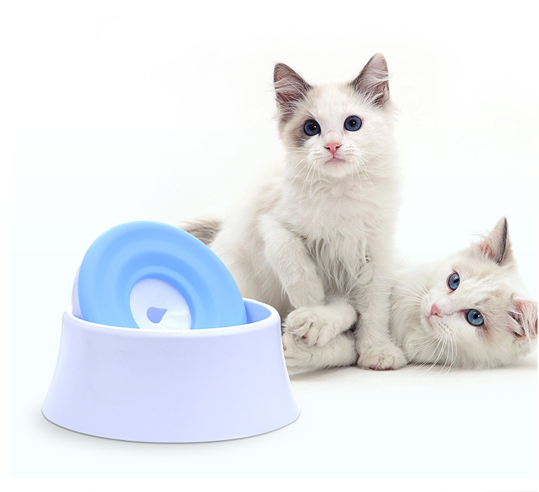 Automatic Pet Water Bowl with Splash-Free Design
