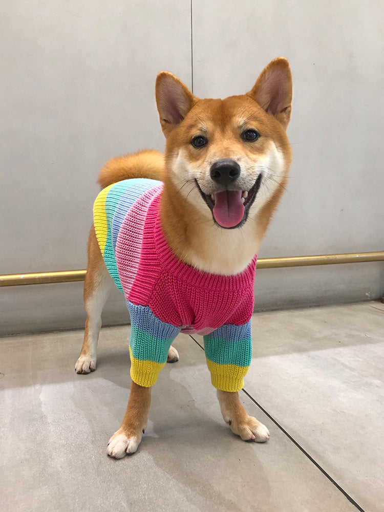 Rainbow Sweater for Small Dogs and Cats (Fall/Winter)