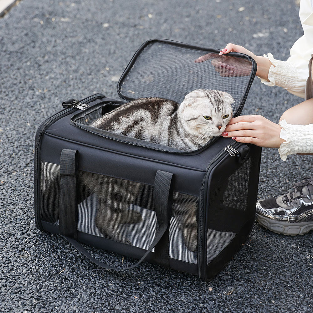 Carrier Bag for Dogs & Cats