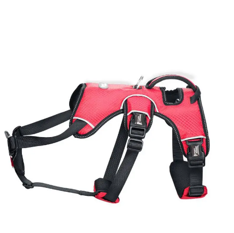 Breathable Dog Harness – Adjustable Fit