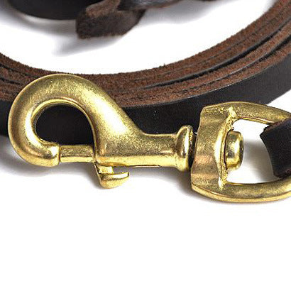 Dog Leash and Harness Set, Pull Rope for Dogs