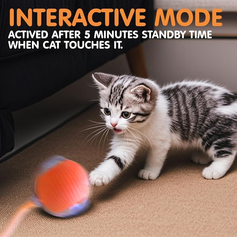 Automatic Rechargeable Cat Interactive Ball Toy