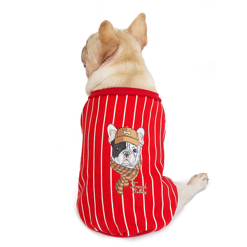 Plus Velvet Sweater for Small and Medium Pugs