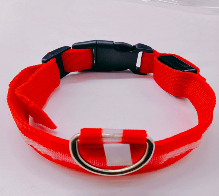 Luminous LED Dog Collar