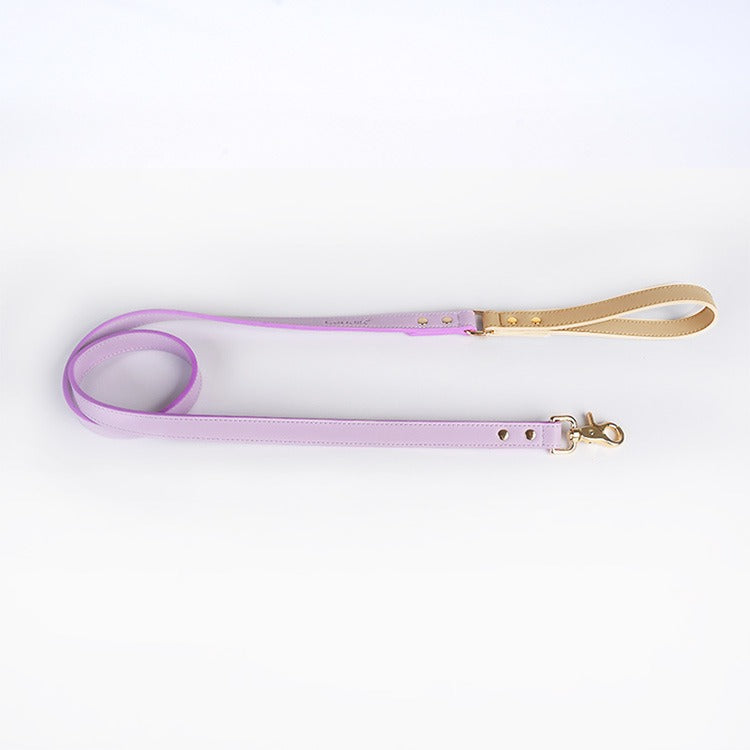Leather Dog Leash and Collar Set