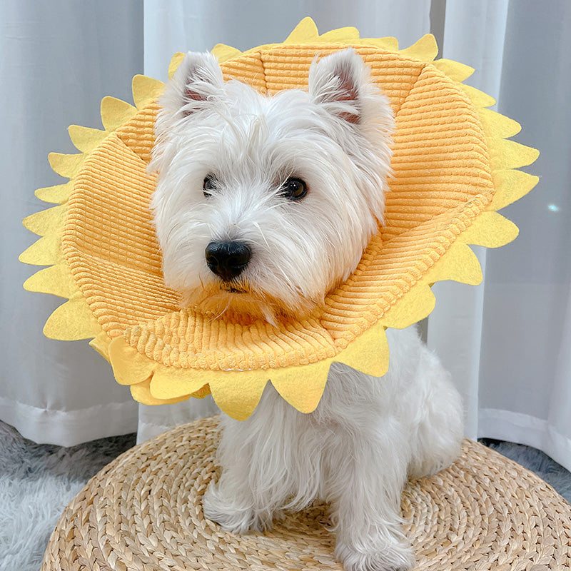 Anti-Licking Headgear for Cats and Small Dogs