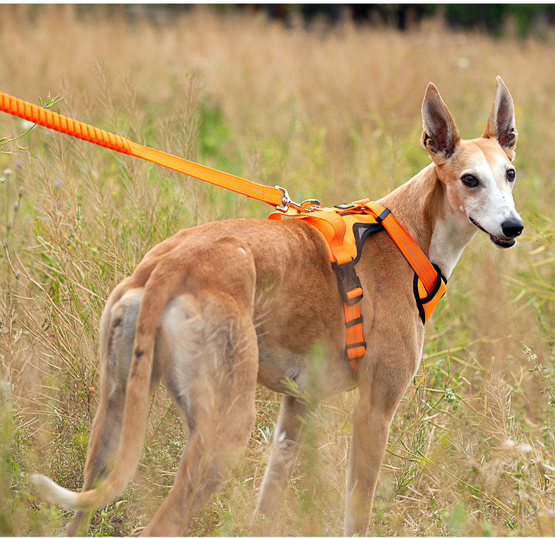 Pet Harness for Medium to Large Dogs