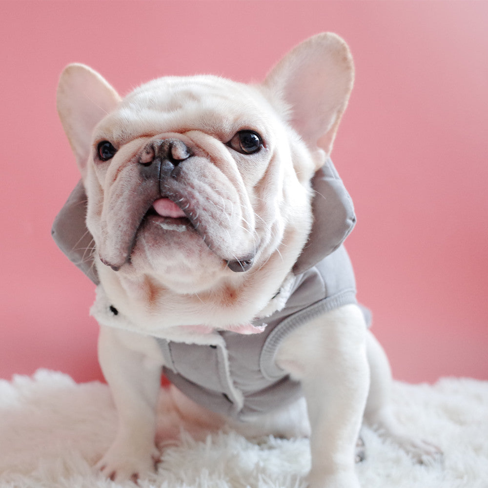 Warm Velvet Dog Vest for Winter - Schnauzer Size