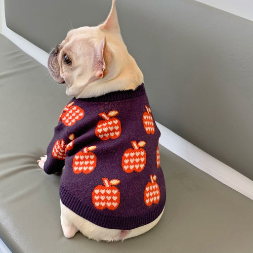 Autumn Winter Sweater for Puppies and Kittens