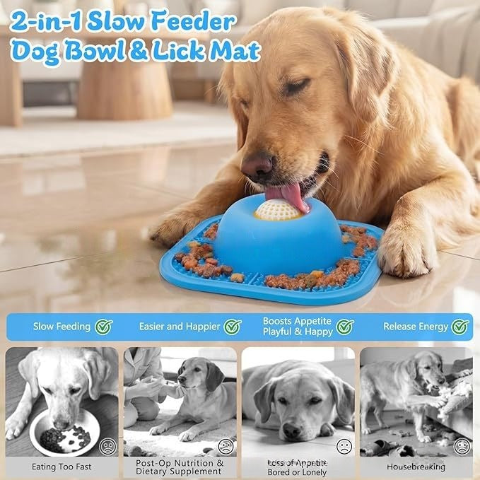 Slow Feeder Dog Bowl