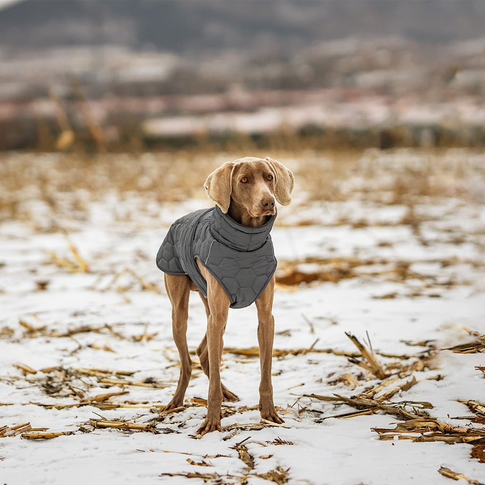 Thick Winter Pet Dog Coat