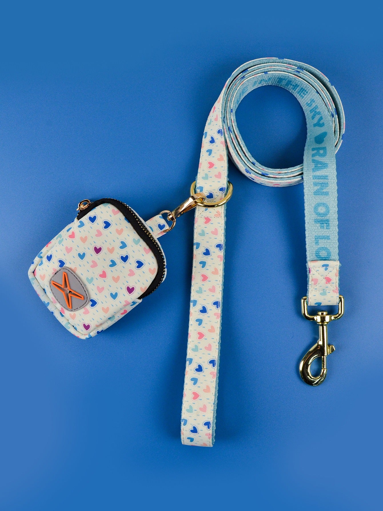 Dog Leash & Poop Bag Holder Set