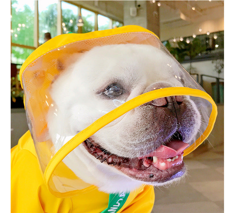 Dog Raincoat Waterproof Cute Dinosaur Costume for Pets