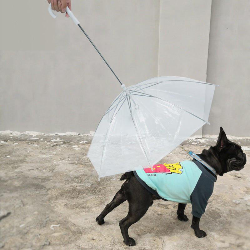 Pet Umbrella with Leash for Small Dogs like Teddy
