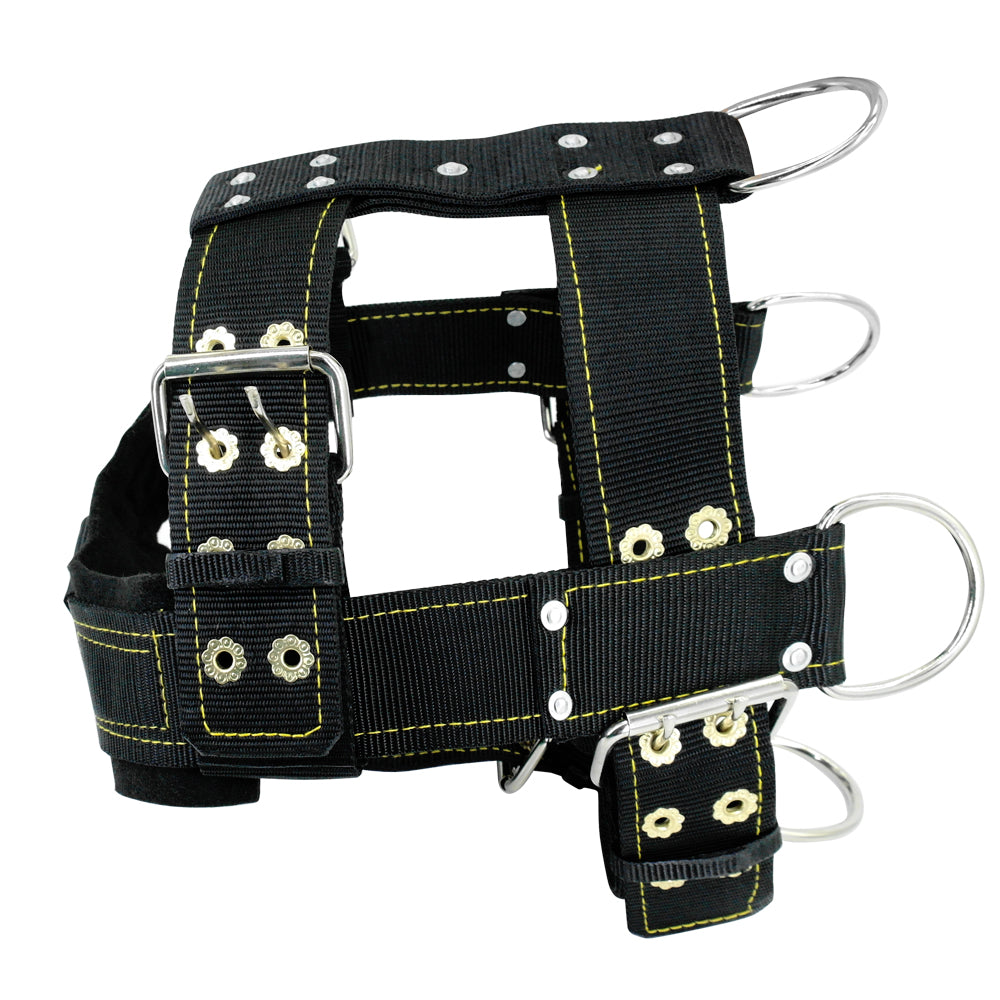 Dog Training Suit for Effective Behavior Training