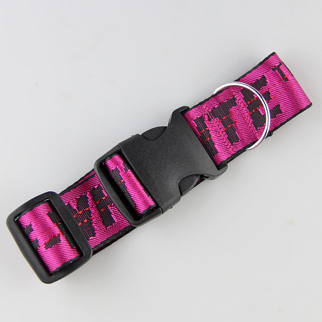 Gold Chain Nylon Dog Collar and Leash Set for Pets