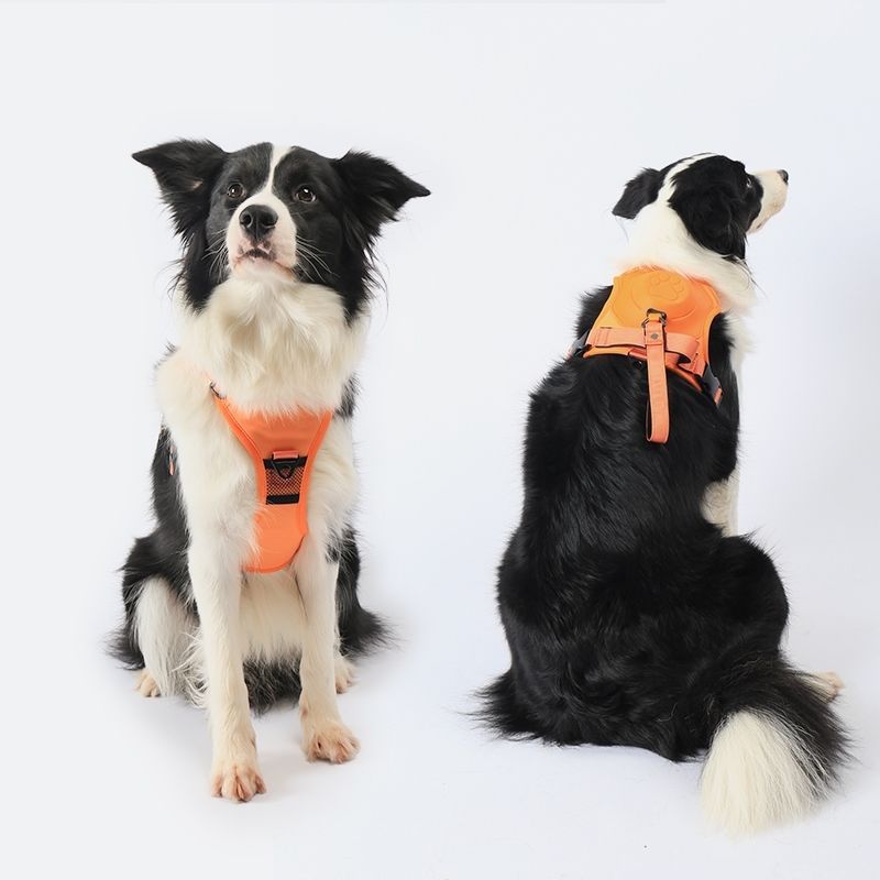 Integrated Dog Vest with Hand Holding Rope for Puppies
