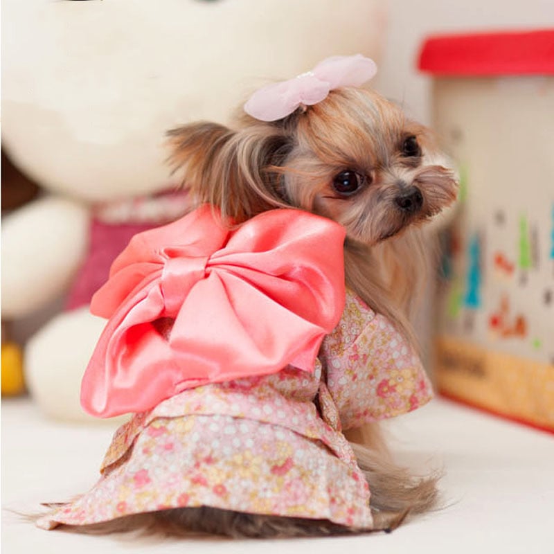 Idyllic Floral Pet Clothes for Cats and Dogs