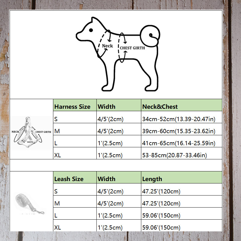 Personalized Engraved Pet Collar for Cocker Spaniel