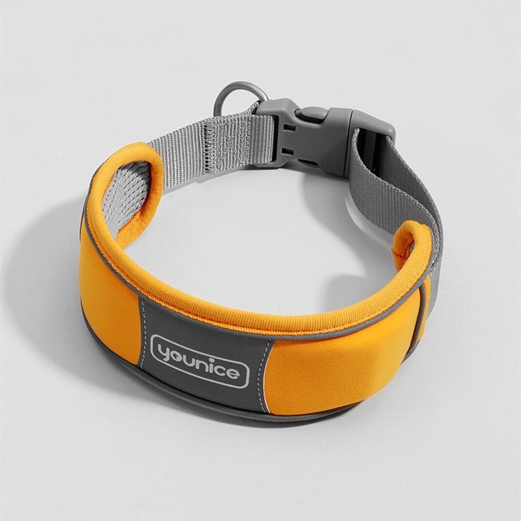 Cute Dog Collar and Leash - Explosion-Proof Design