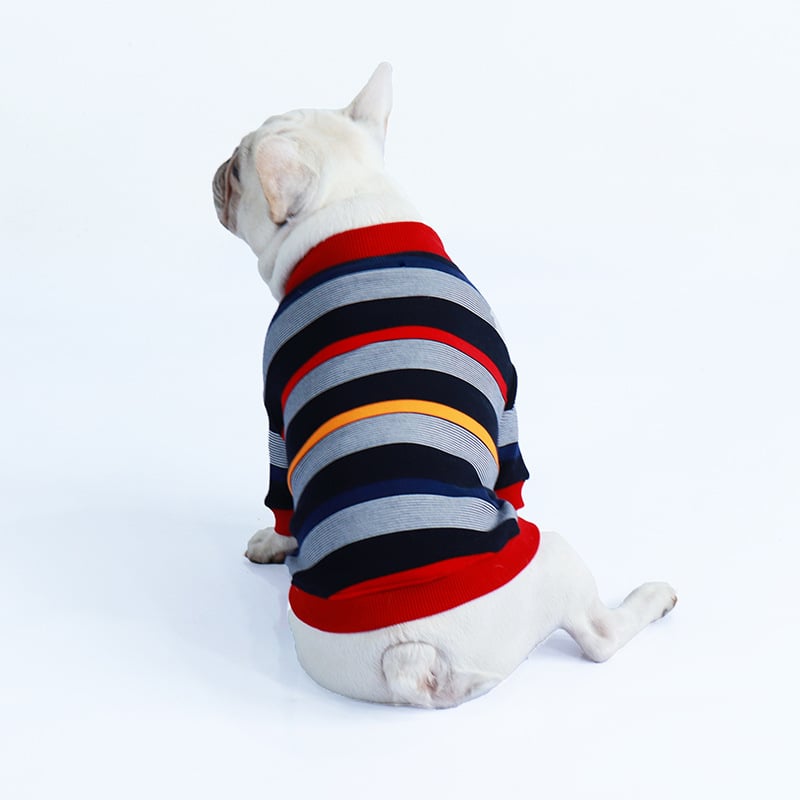Winter Pet Clothing for Cats and Dogs