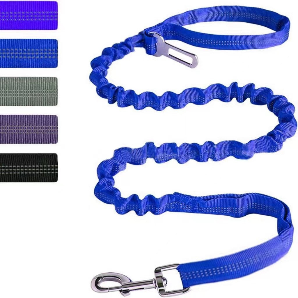 Reflective Polyester Dog Leash