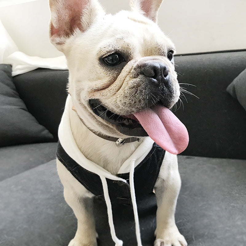 Spring Autumn Teddy Denim Vest for Small Dogs and Cats
