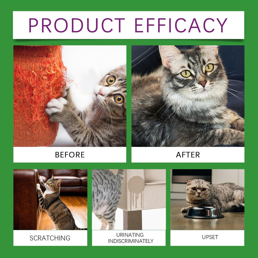 Cat Emotional Care Set