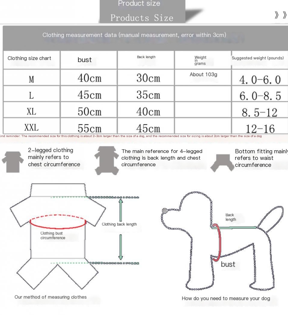 Funny black cat, standing up, wearing dog, cat, pet clothes