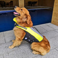 Inflatable Pet Life Jacket for Safe Swimming Dogs