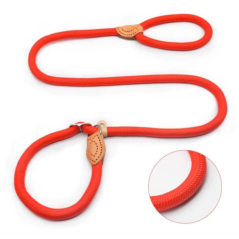 Chain Slip Dog Leash