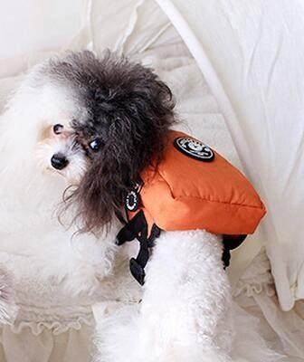 Dog Backpack for Small Pets - Teddy, French Bulldog