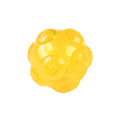Golden Retriever Elastic Toy Ball for Molar Bite Resistance