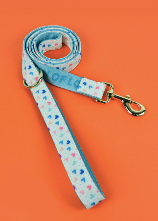 Heart Pattern Pet Leash