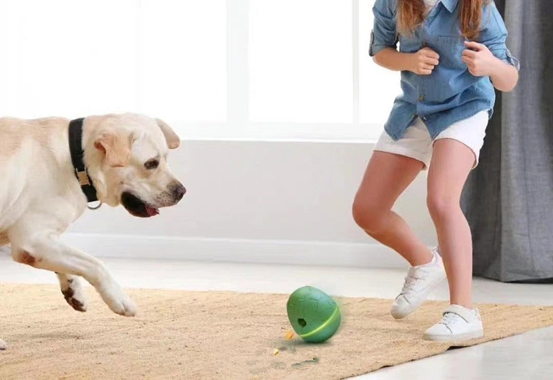 Egg-Shaped Dancing Pet Toy