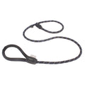 Integrated Collar and Leash for Pets
