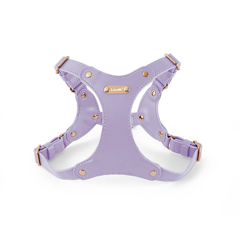 Leather Dog Chest and Back Harness
